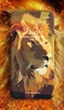 Lion Wallpaper screenshot 4