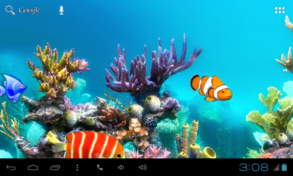 KitKat LiveWallpaper - Preview 2