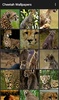 Cheetah Wallpapers screenshot 2