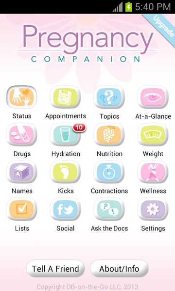 Pregnancy Companion - Preview 3