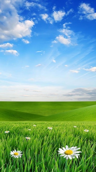 Nature Live Wallpaper - Preview 3