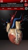 Circulatory System in 3D (Anatomy) screenshot 20