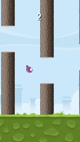 Super idiot Bird - Preview 7