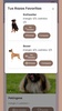 DoggoGuide screenshot 3