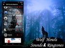 Wolf Sounds Ringtones screenshot 5