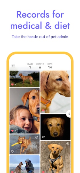 Huply - Preview 12