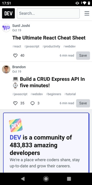 DEV Community - Preview 11