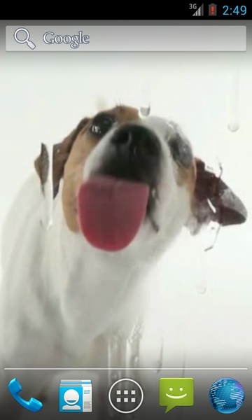 Dog Licks Screen Wallpaper - Preview 5