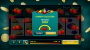 Fruit Poker Deluxe screenshot 1
