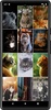 Cats Wallpapers screenshot 2