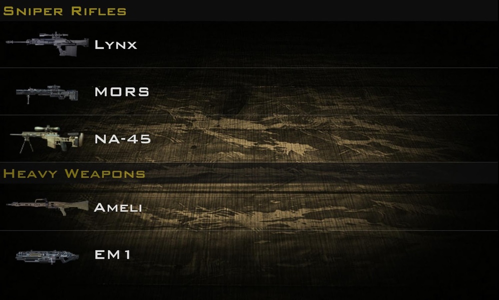 Advanced Warfare Guns - Preview 4