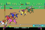 Horse Racing screenshot 11