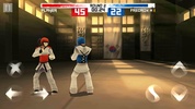 Taekwondo Game screenshot 2