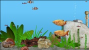 Aquarium Fish screenshot 2