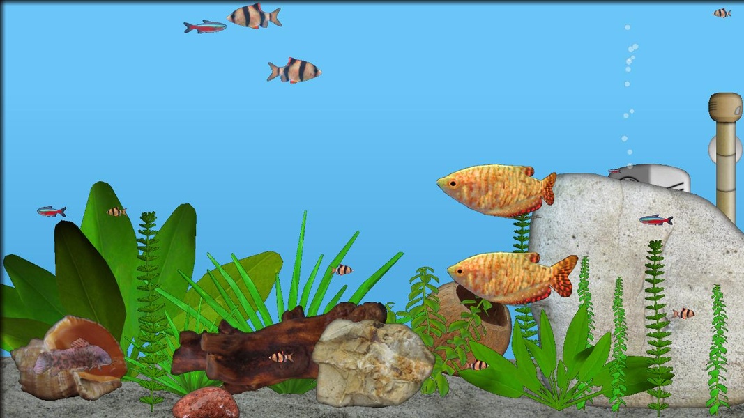 Aquarium Fish - Preview 2
