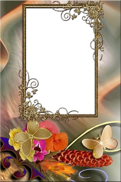 Beautiful PhotoFrames - Preview 20