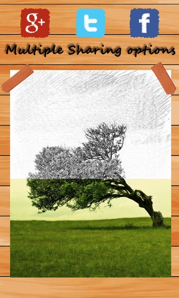 Photo Sketch Pro - Preview 2