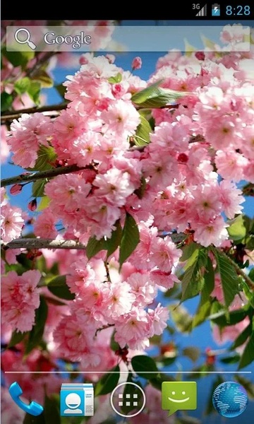 Amazing Spring Flowers - Preview 1