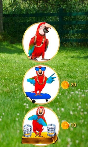Real Talking Parrot - Preview 4