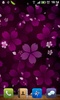 Sakura Falling Live Wallpaper screenshot 5