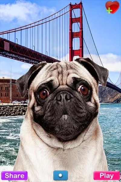 Talking Pug - Preview 8