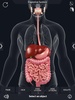 Digestive System Anatomy screenshot 6