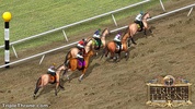 Triple Throne Horse Racing screenshot 9