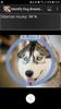 Identify Dog Breeds Pro screenshot 6