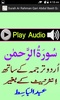 Surah Ar Rahman Qari Abdul Basit Quran Urdu Tarjum screenshot 1