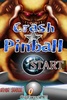 CRASH PINBALL screenshot 2