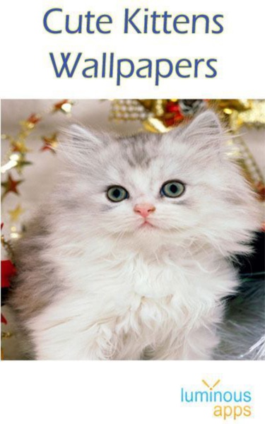 Cute Kittens Wallpapers - Preview 8