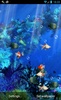 Aquarium Live Wallpaper screenshot 3
