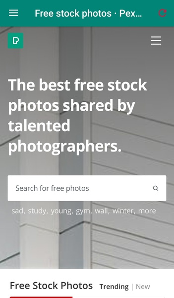 Pexels - 4K Wallpapers & Videos Download - Preview 3