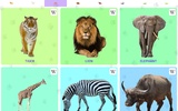 Animal Sounds screenshot 6