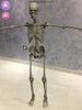 AR Augmented reality Anatomy screenshot 6