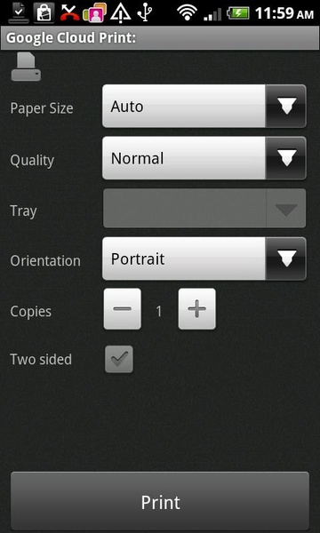 Document Print - Preview 2