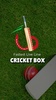 Cricket Box screenshot 4