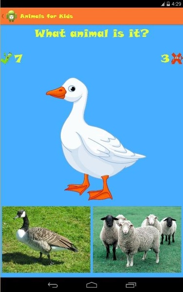 Animals for Kids - Preview 6