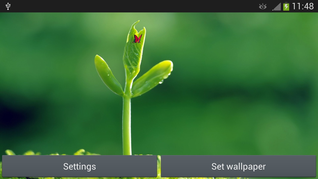 Green - Preview 2