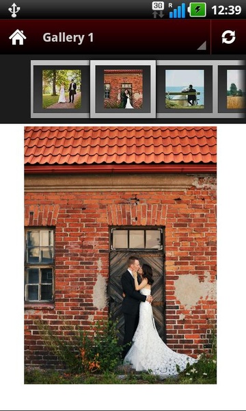 Wedding Portrait Posing Guide - Preview 5