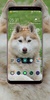 Siberian Husky Wallpaper screenshot 5