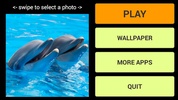 Dolphins LWP + Games Puzzle screenshot 7