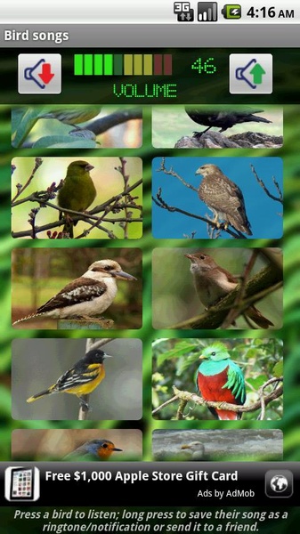 Bird Songs - Preview 2