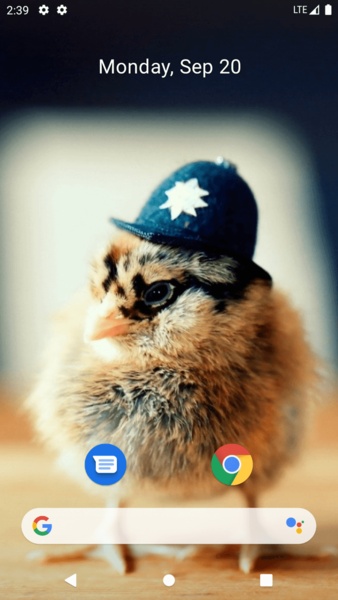 Chick Wallpaper - Preview 8