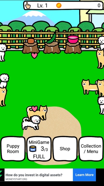 Play with Dogs - Preview 5