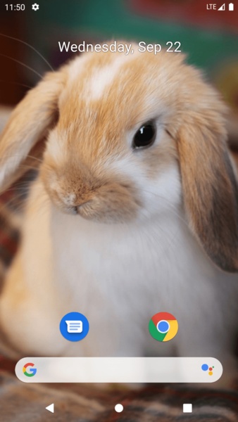 Rabbit Wallpaper - Preview 5