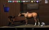 My Horse screenshot 4