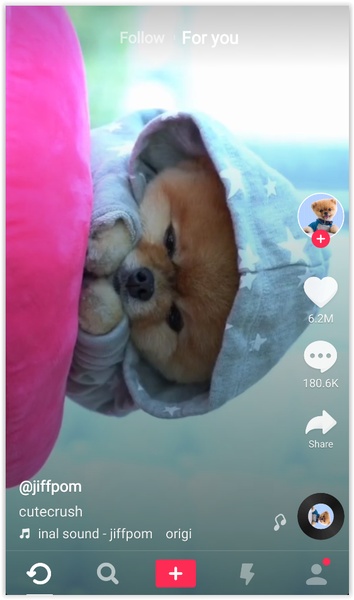 Musically Downloader - Preview 5