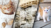 Cute Kitten Puzzle Kit screenshot 1