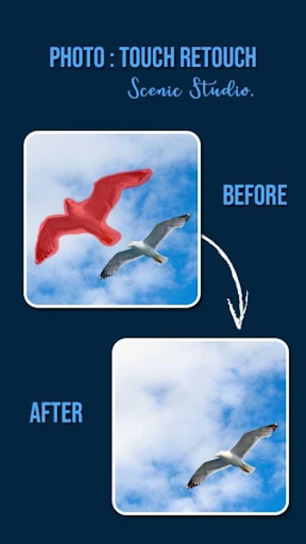 Touch Retouch - Preview 2